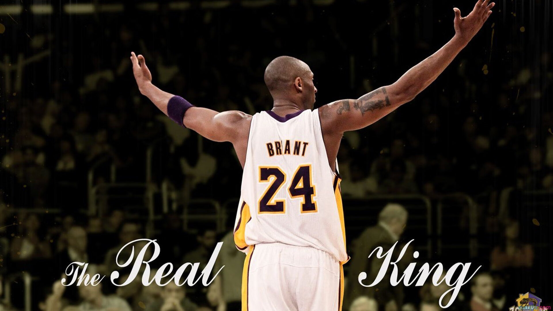 伊萨克,北欧闪电,刺穿斗牛士的钢铁森林